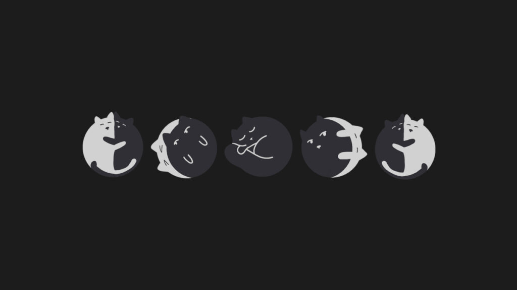 cats, moon phases, new moon