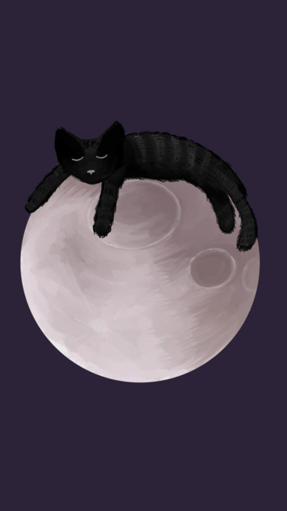 supermoon, cat, full moon, moon, sleeping