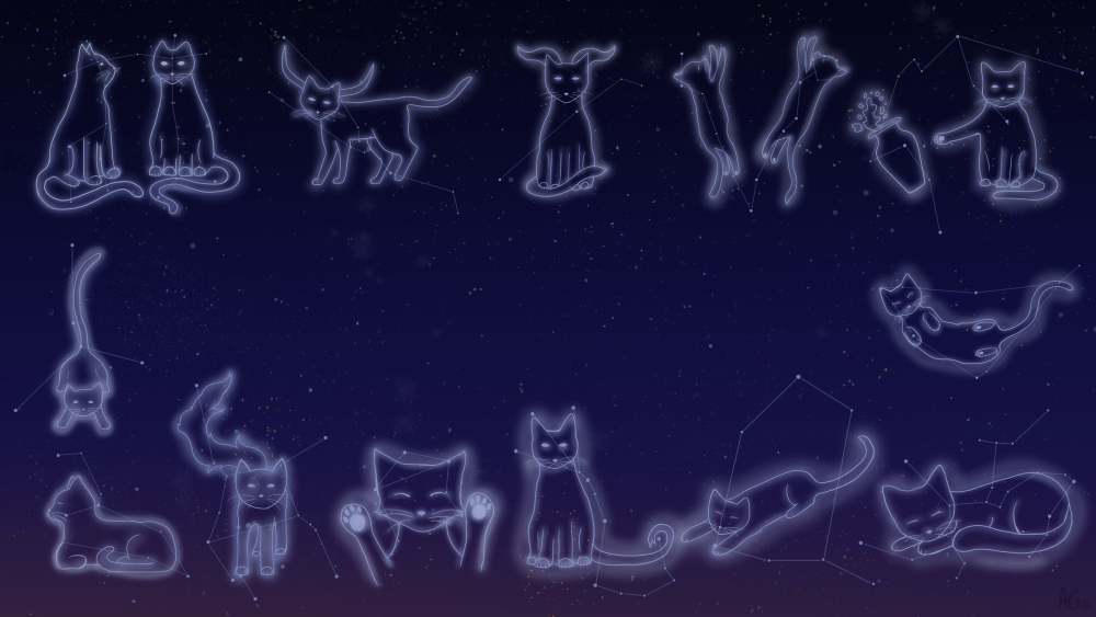 Zodiac cats together with their constellations in the background.